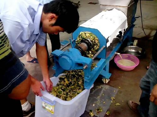 新型槟榔破碎榨汁设备获业内好评