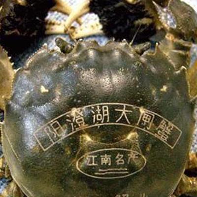 迎金秋庆十一，标识行业保障食品品质