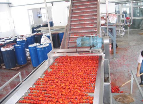 浓缩番茄酱加工成套生产线